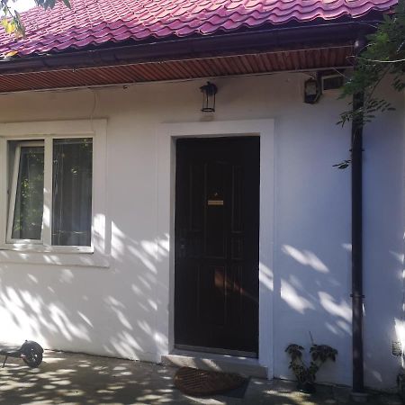 Casa Miron Unirii 3Strada Matei Corvin Apartament Timişoara Eksteriør billede