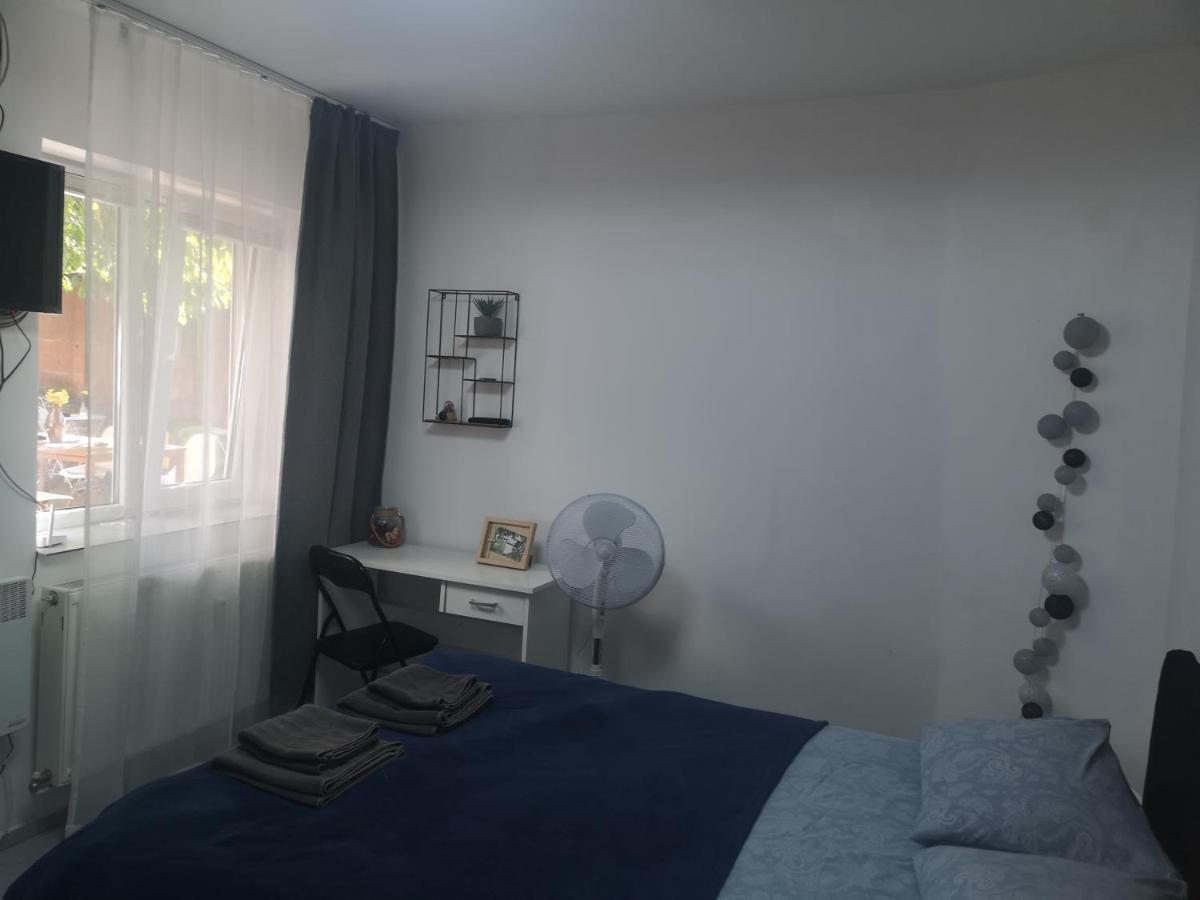 Casa Miron Unirii 3Strada Matei Corvin Apartament Timişoara Eksteriør billede